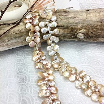 12x17mm Champagne Coin with Tail Freshwater Pearls Beads