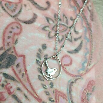 Alternative view of Wren Bird in Petal Drop Frame Sterling Silver .925 Amoracast - Pendants Charms