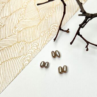 bronze paired slender pearls