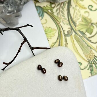 dyed bronze paired pearls