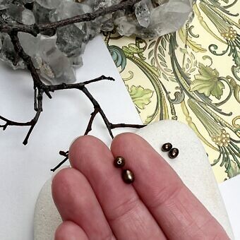 Alternative view of 3.5x5mm Dyed Bronze Rice Freshwater Pearls Paired Beads