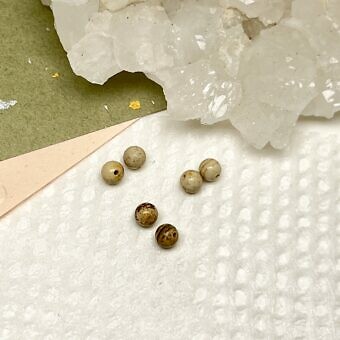 Jasper paired beads