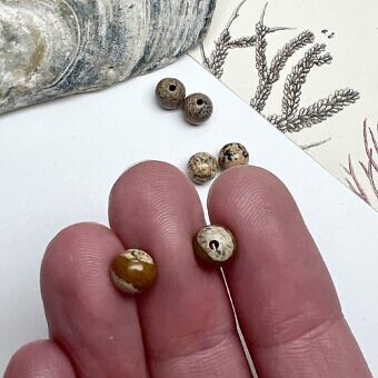 Alternative view of 6mm Smooth Round Picture Jasper Paired Beads