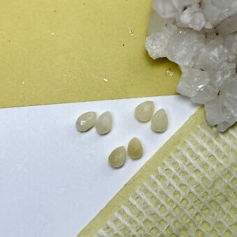 Briolette Jade paired beads