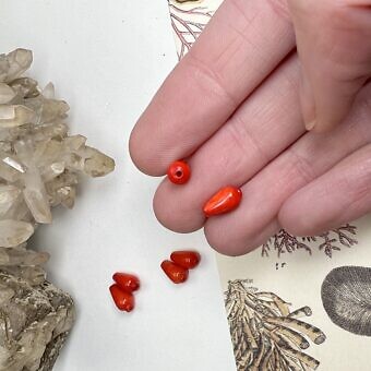 Alternative view of 8x5mm Dyed Red Coral Paired Smooth Teardrop Center Drilled Beads