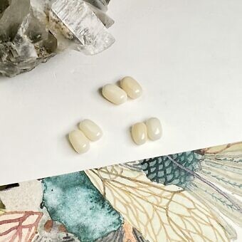 bamboo coral paired beads
