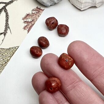 Alternative view of 9x10mm Smooth Nugget Natural Red Sponge Coral  Paired Beads