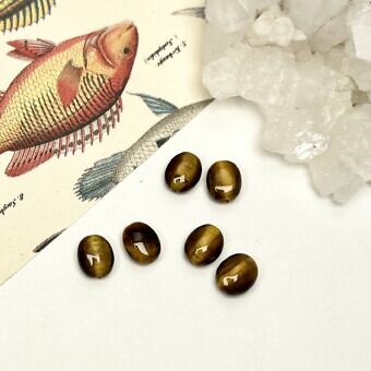 Tiger Eye-Cat's Eye