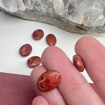 Alternative view of 10x14mm Smooth Oval Natural Red Sponge Coral Paired Beads