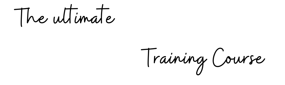 ultimate-permanent-jewelry-training-course-by-stones-and-findings-logo